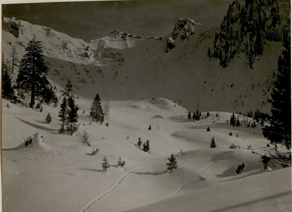 Blick auf Campei mit Seilbahnstrecke, Stpkt.Mg.Campei. (13-III.1918.) (BildID 15514796)