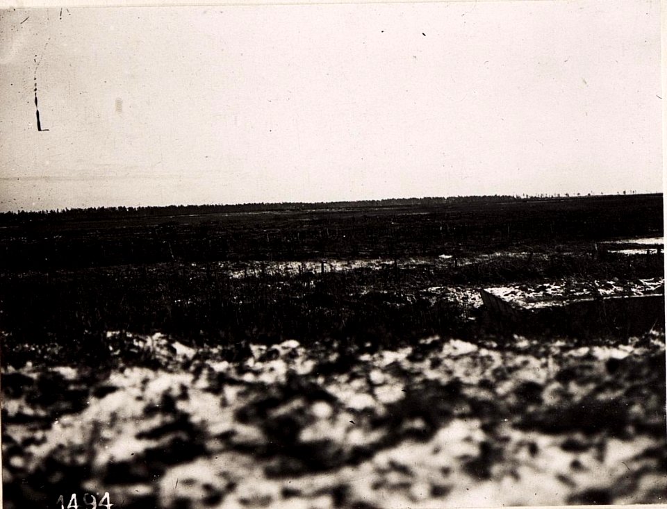 Blick auf die russ.Stellung (20-XII.1917.) (BildID 15713496)