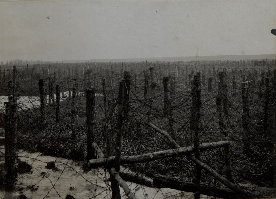 Blick auf den eigenen Dratverhau an der Boldurka (BildID 15444840)