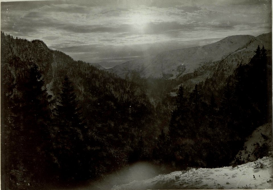 Blick auf die Talenge bei Stua Ramaz. Feindliche Infanterie und Artilleriestellung auf den Abhängen des Punta Cul di Cretta, des Monte Neddil und Paularo Cos ület. (BildID 15464193)
