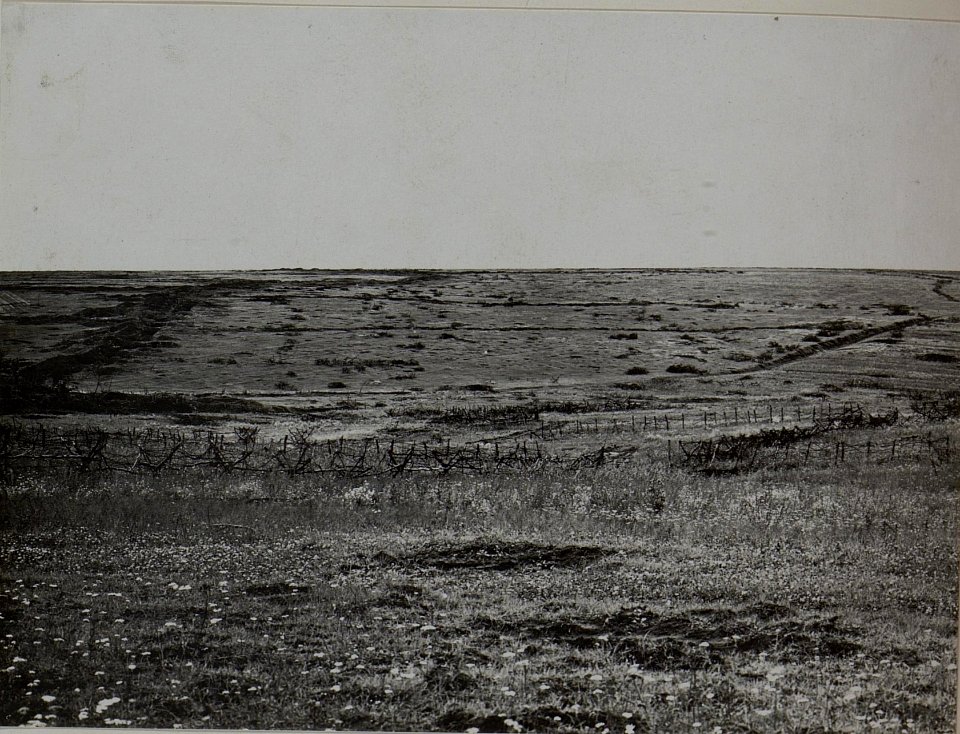 Blick auf die eigene erste Linie bei Koniuchy. (BildID 15445466)
