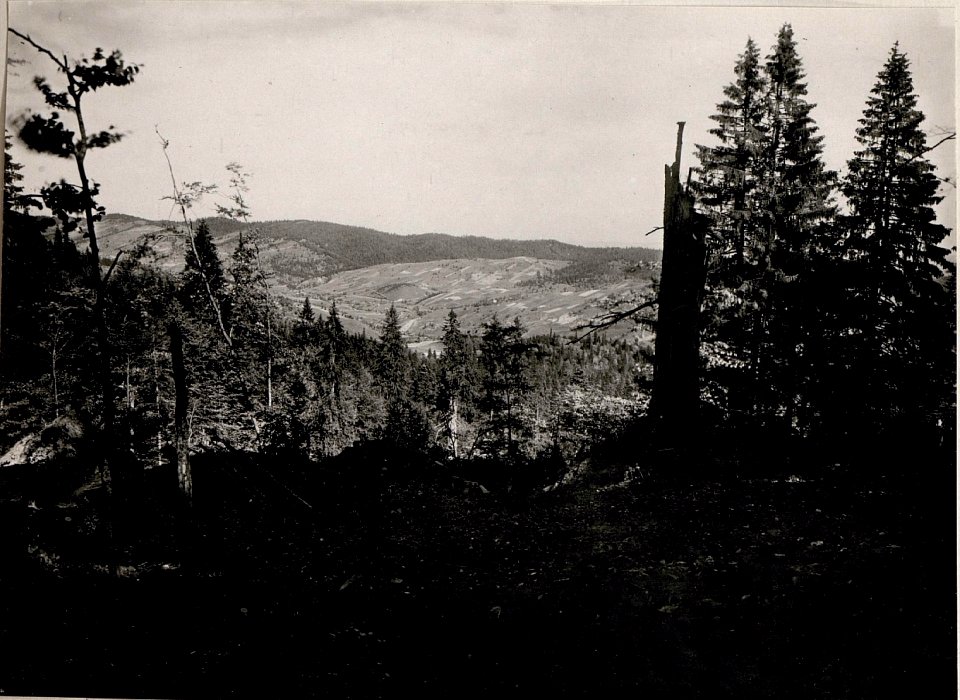 Blick auf feindl.Stellungen bei Gurahumora (BildID 15720100)