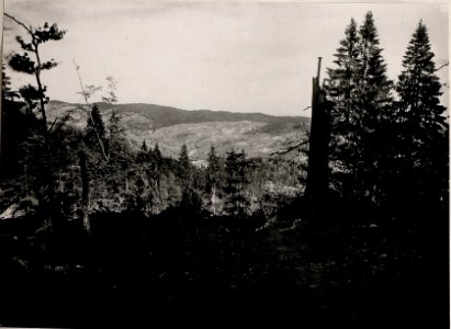 Blick auf feindl.Stellungen bei Gurahumora (BildID 15720100)