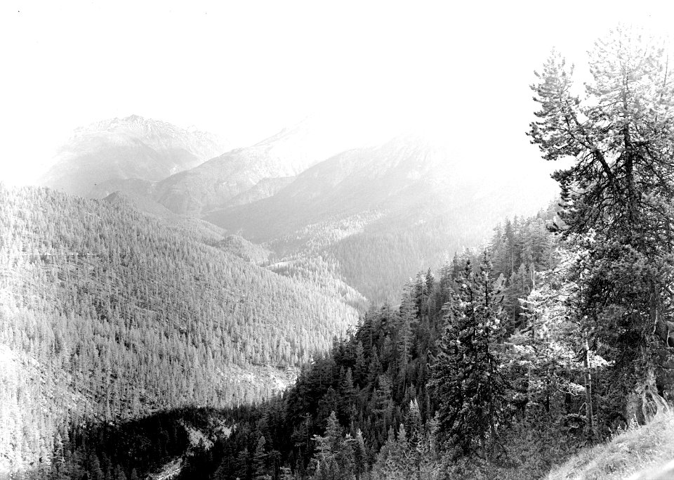 Blick auf die Münstertaler Alpen und das Ferromassiv - CH-BAR - 3239894
