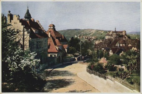 Blick auf die Stadt von der Staufenstraße (AK F Schimpf 1917 TPk032b)