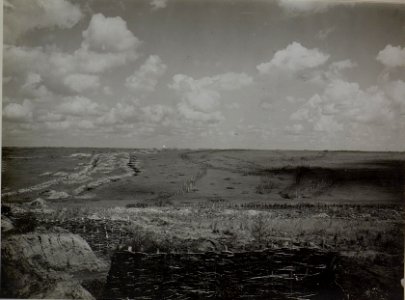 Blick auf eigene erste Linie bei Koniuchy (BildID 15445508)