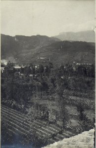 Blick auf die itl. Kalkseilbahn III von Vittorio. (BildID 15672702)