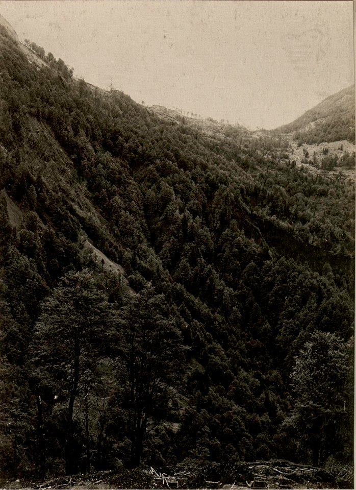 Blick auf DOL. PLANINA und Kote 1270 aus der Vorfeldstellung unterhalb der Kote 1317. Stellung des Ldst.Inf.Rgts.Nro.26.VI. Feldkompagnie, II.Zug. aufgenommen am 28. Juni 1916. (BildID 15476875)