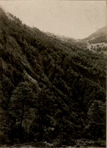 Blick auf DOL. PLANINA und Kote 1270 aus der Vorfeldstellung unterhalb der Kote 1317. Stellung des Ldst.Inf.Rgts.Nro.26.VI. Feldkompagnie, II.Zug. aufgenommen am 28. Juni 1916. (BildID 15476875)