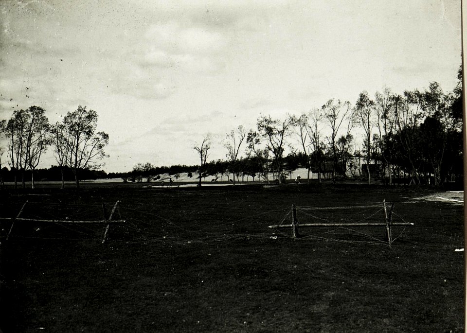 Blick auf eigene Stellungen bei Rogowiec. Im Vordergrund Drathindernisse. (BildID 15589452)