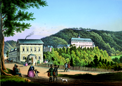 Blick auf Schloß Schwarzburg, Lithographie um 1860