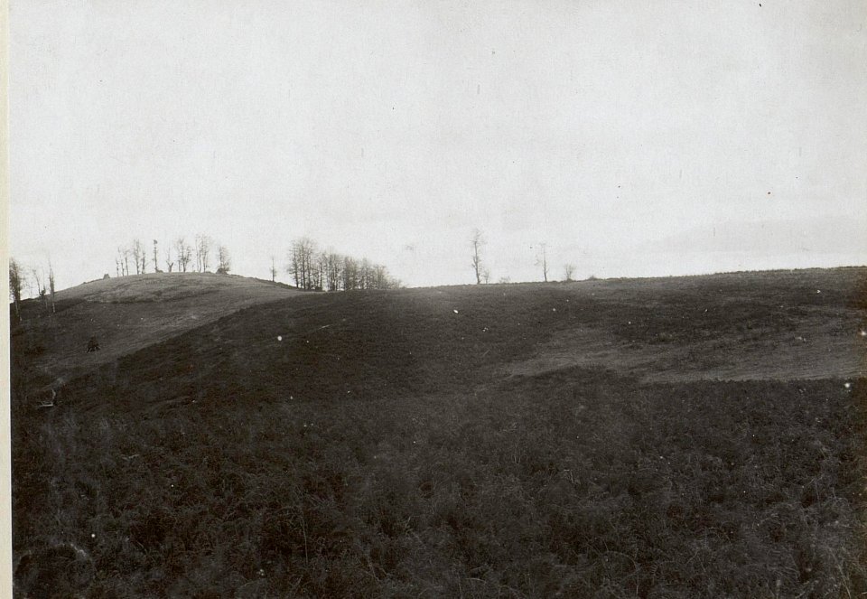 Blick aus der zweiten Stellung auf der Miletina gegen die erste und gegen den Petkovo Brdo. (BildID 15660650)