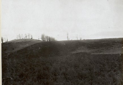 Blick aus der zweiten Stellung auf der Miletina gegen die erste und gegen den Petkovo Brdo. (BildID 15660650)
