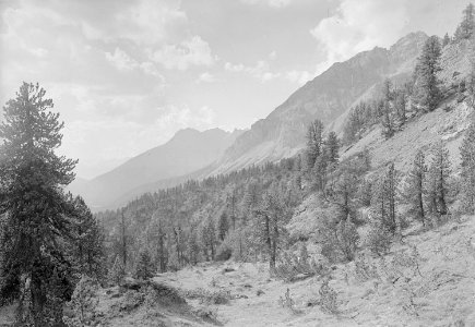 Blick auf Piz Ofen und Piz Nair kurz vor der Ofenpasshöhe aus - CH-BAR - 3239909
