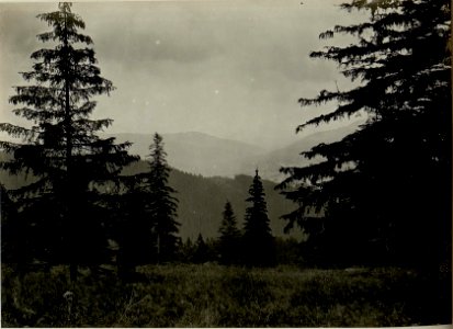 Blick auf Slavsko von der Tatarowka (BildID 15525286)