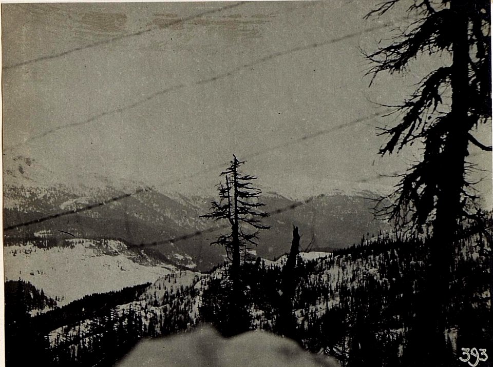 Blick aus dem Schützengraben am Burgstall gegen Col Quaternà und Col Rosson. (BildID 15583108)