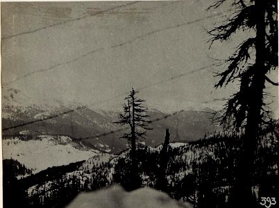Blick aus dem Schützengraben am Burgstall gegen Col Quaternà und Col Rosson. (BildID 15583108)
