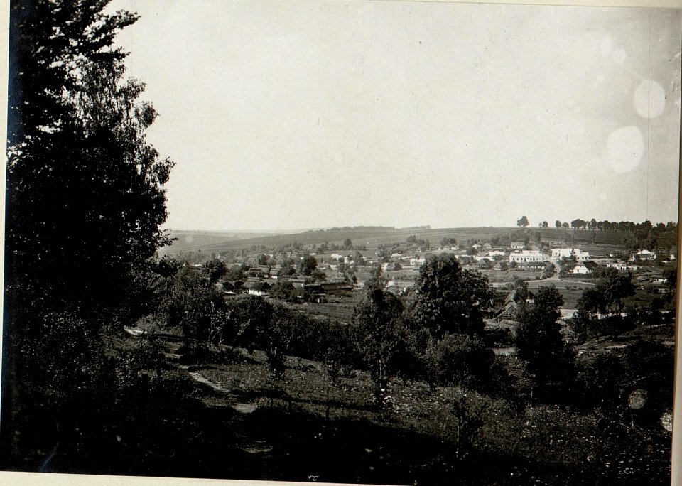 Blick auf Olejow (BildID 15544069)