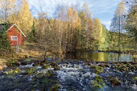 Landscape autumn river