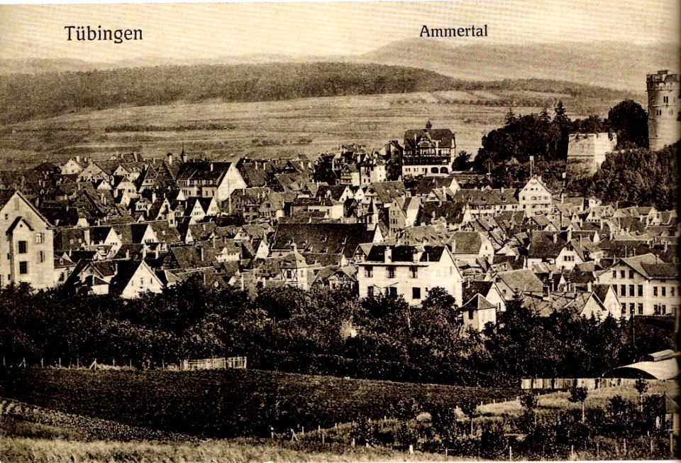 Blick auf Tübingen vom Geigerle (Panorama-AK H Sting ca1911 links TPk072)