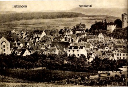 Blick auf Tübingen vom Geigerle (Panorama-AK H Sting ca1911 links TPk072)
