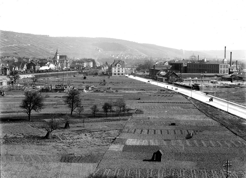 Blick auf Untertürkheim, 1904 (8413762376)