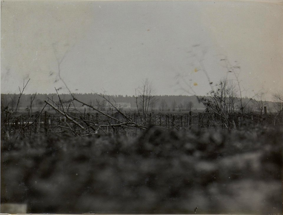 Blick aus der Stellung des Infanterieregiments 84 auf einem von den Russen besetzten Meierhof (BildID 15444777)