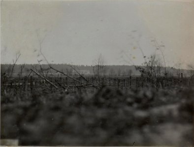 Blick aus der Stellung des Infanterieregiments 84 auf einem von den Russen besetzten Meierhof (BildID 15444777) photo
