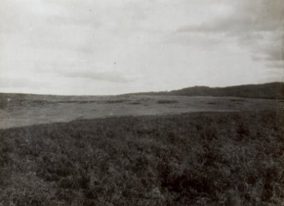Blick aus der zweiten Stellung auf der Miletina gegen die erste und gegen den Petkovo Brdo. (BildID 15660657)