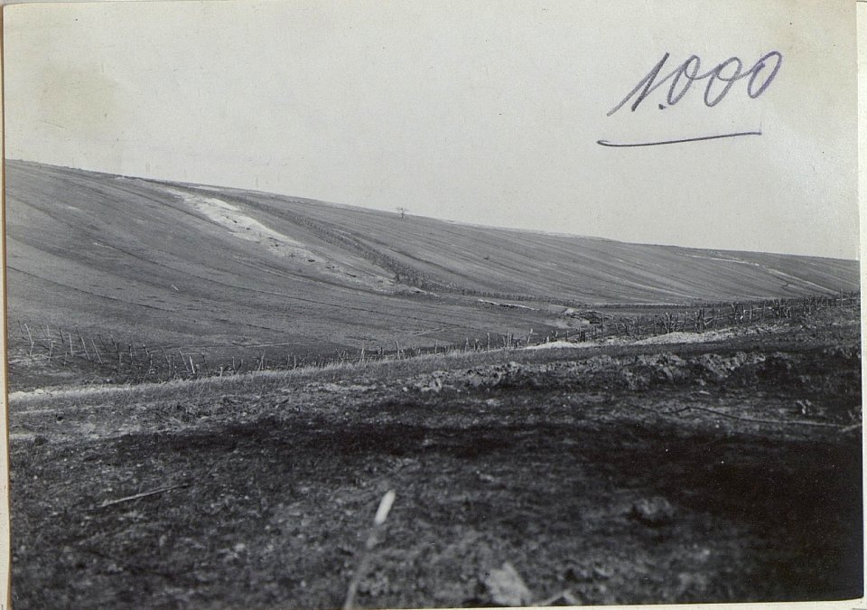Blick auf türk.u.russ.Stellung südl.Brzezany. (BildID 15727943)