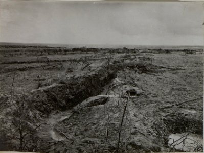 Blick auf vorgeschobene Feldwachstellung bei Koniuchy (BildID 15445452)
