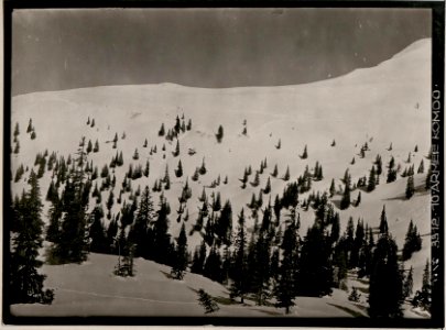 Blick gegen die Abhänge der Schulter des Hochwipfel und den Stellungen auf der Straninger Alpe, Stpkt., am Lanzenboden (BildID 15731240)