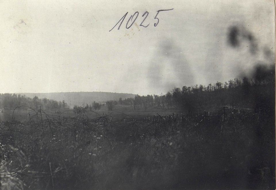 Blick aus der Stellung des türk.I.R.62 zu den russischen Linien. (BildID 15728119)