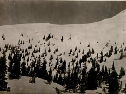 Blick gegen die Abhänge der Schulter des Hochwipfel und den Stellungen auf der Straninger-Alpe. Stpkt, am Lanzenboden. (24-4.1917.) (BildID 15800345)