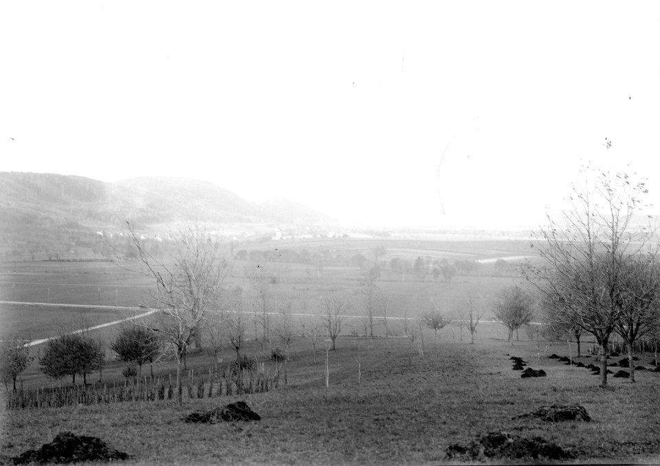 Blick ins Rheintal - CH-BAR - 3237726