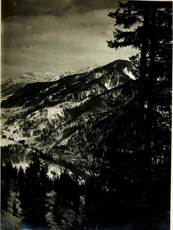 Blick gegen Saifnitz nach Tarvis. Stpkt, Lomek. (24-4. 1917.) (BildID 15500085)