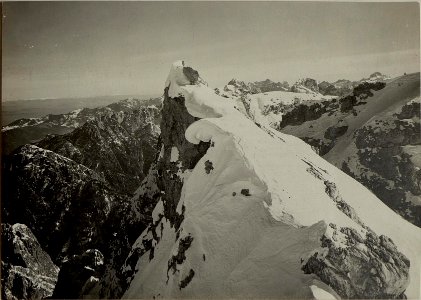 Blick vom Aufstieg auf den Wischberg gegen Mangart. (BildID 15466762)
