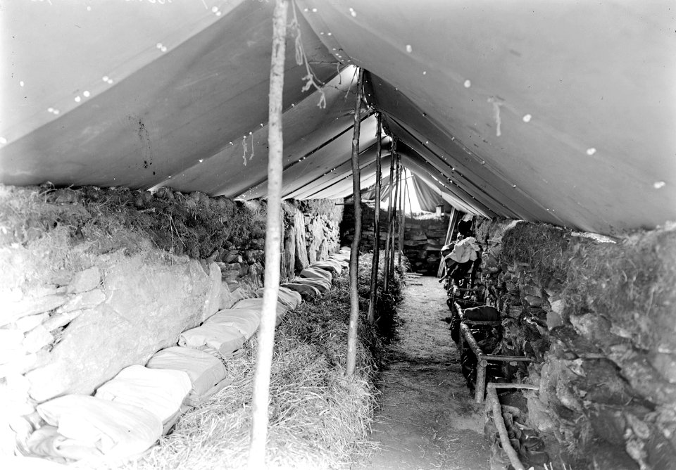 Blick in ein Mannschaftszelt - CH-BAR - 3240791