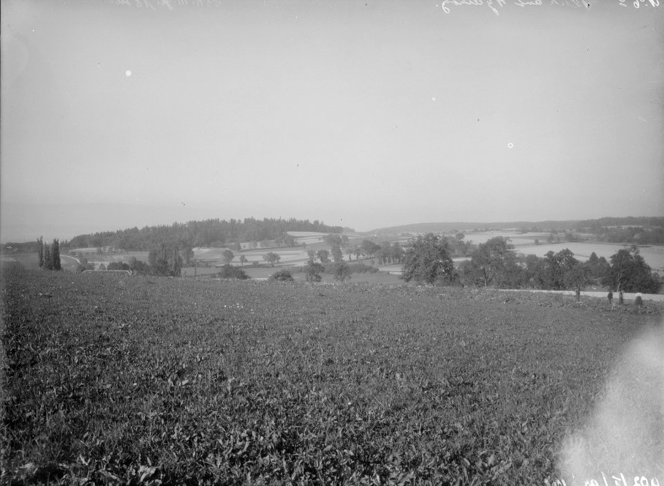 Blick nach Wylerholz - CH-BAR - 3241797