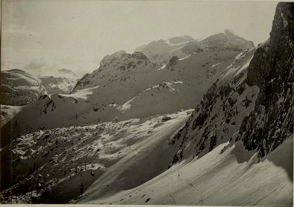 Blick vom Großsattel (Kote 1947 zwischen Trogkofl und Zweikofl) nach Osten, Südosten auf das Gebiet der Rudnigalm (BildID 15467829)