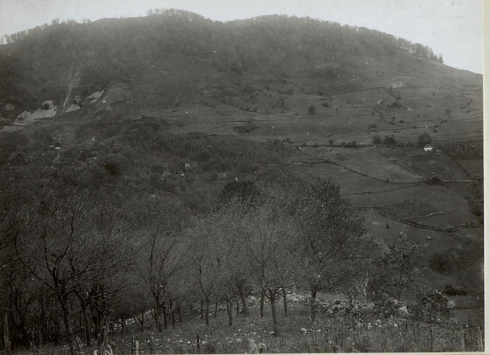 Blick vom Hang des Ravno Brdo gegen Kuline aus dem Zwetschkengarten (BildID 15660510)