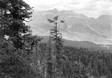 Blick ins Oberengadin - CH-BAR - 3241558