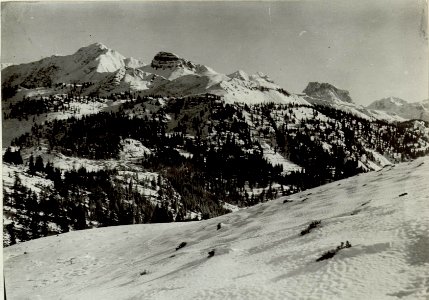 Blick nach Osten beim Anstieg vom Meladis di Sopra zur C.Val di Puartis. (BildID 15464228)