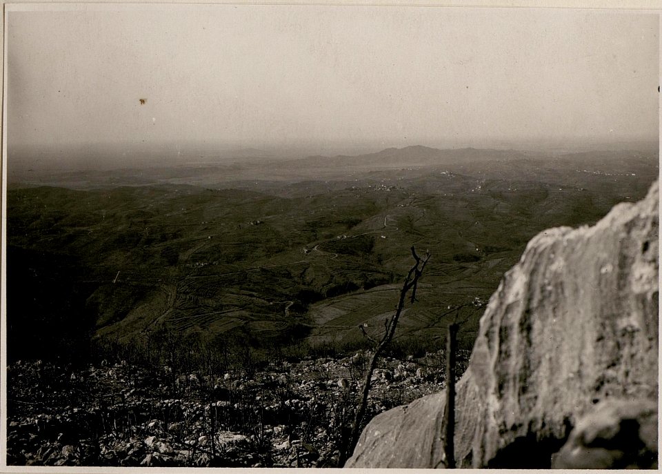 Blick vom Monte Sabotino gegen die Podgora (BildID 15732453)