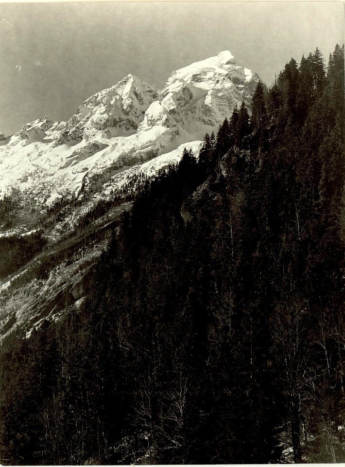 Blick vom Ansichtspunkt der sechsten Serpentine in das Trentatal gegen den Isonzo-Ursprung. (BildID 15464642)