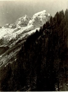 Blick vom Ansichtspunkt der sechsten Serpentine in das Trentatal gegen den Isonzo-Ursprung. (BildID 15464642)