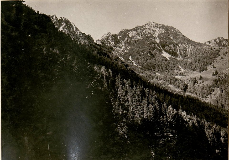Blick vom Art.-Beobachter am Schiebriegel gegen den Gregnedulhang-Lusnitzer Alm. (22-8.1917.) (BildID 15802379)