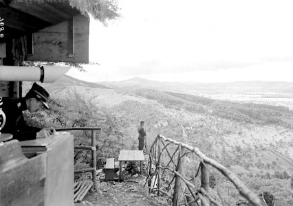 Blick vom Beobachtungsposten in das Elsass - CH-BAR - 3238991