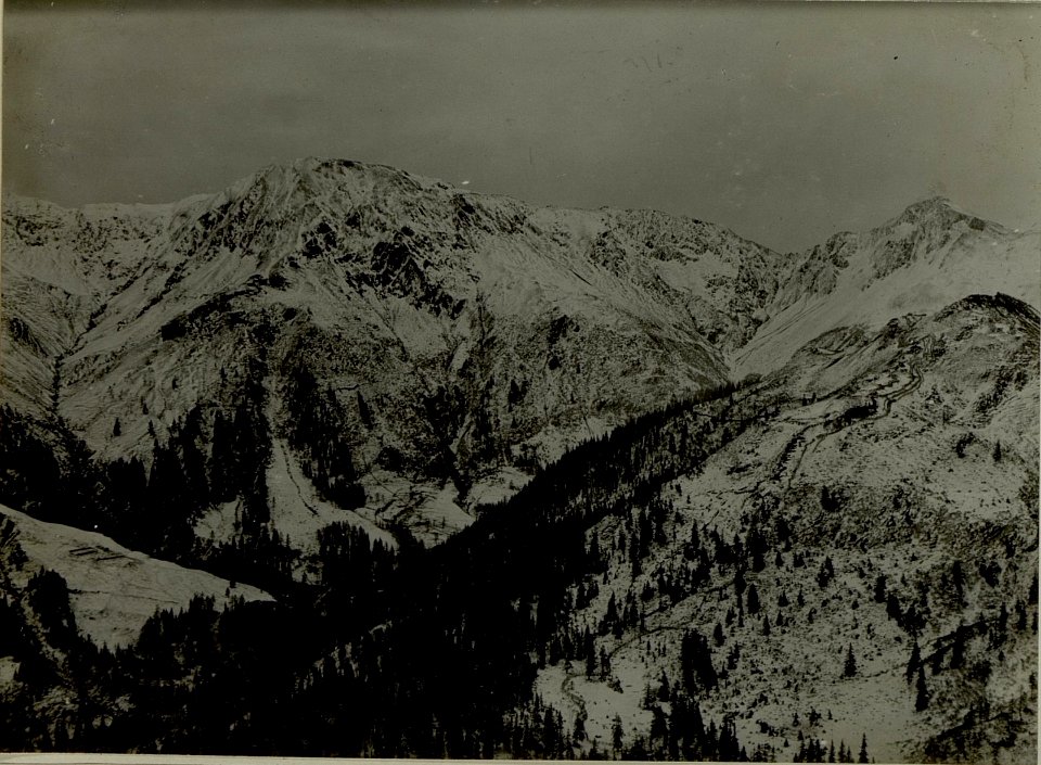 Blick vom linken Flügel auf unsere und den feindlichen Stellungen am grossen Pal und Passo di Cavallo. Hintergrund von links nach rechts Köderhöhe, Promos, Piz Timan und Gamsspitze. (BildID 15481961)