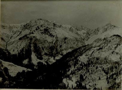 Blick vom linken Flügel auf unsere und den feindlichen Stellungen am grossen Pal und Passo di Cavallo. Hintergrund von links nach rechts Köderhöhe, Promos, Piz Timan und Gamsspitze. (BildID 15481961)